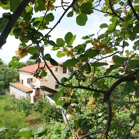 Apartment Lapic *